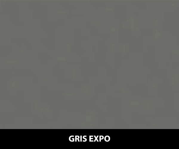 GRIS EXPO